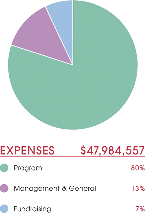 Expenses: $47,984,557